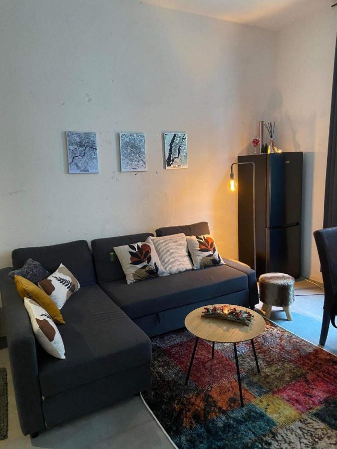 Garden Suite In City Center Antwerpen Kültér fotó